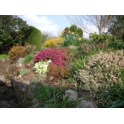 Spring: image 1 of 4 thumb