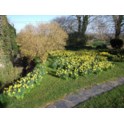 Spring: image 2 of 4 thumb