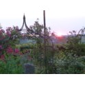 Summer: image 2 of 4 thumb