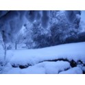 Winter: image 1 of 4 thumb